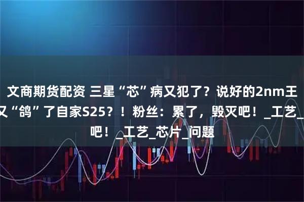 文商期货配资 三星“芯”病又犯了?说好的2nm王炸,怎么又“鸽”了自家S25?!粉丝:累了,毁灭吧!_工艺_芯片_问题