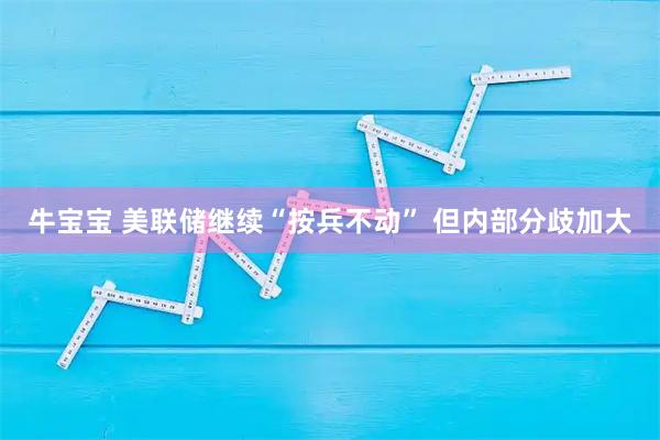 牛宝宝 美联储继续“按兵不动” 但内部分歧加大