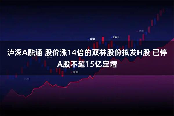 泸深A融通 股价涨14倍的双林股份拟发H股 已停A股不超15亿定增