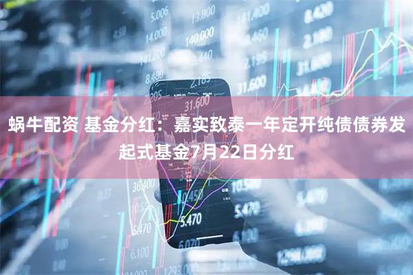 蜗牛配资 基金分红：嘉实致泰一年定开纯债债券发起式基金7月22日分红