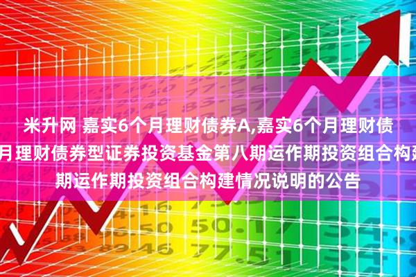 米升网 嘉实6个月理财债券A,嘉实6个月理财债券E 关于嘉实6个月理财债券型证券投资基金第八期运作期投资组合构建情况说明的公告